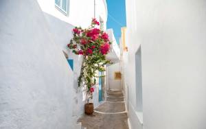 Travel+Leisure: Ελληνικό το καλύτερο νησί στην Ευρώπη για το 2019 (pics)