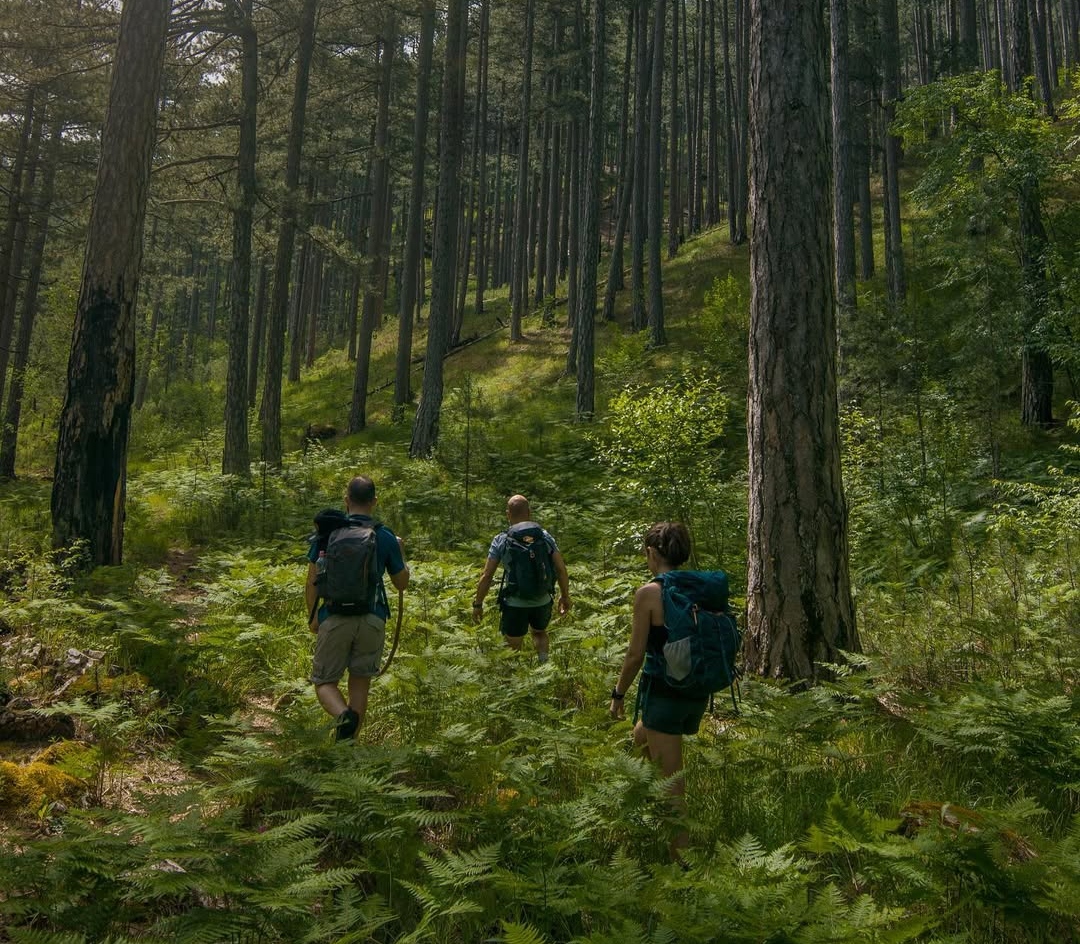 Βάλια Κάλντα