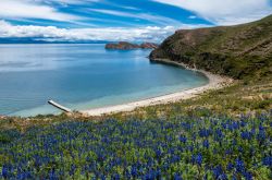 DSC_0777-Edit-1-21__880