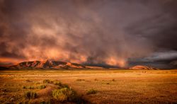 DSC_1199-Edit-1-10__880