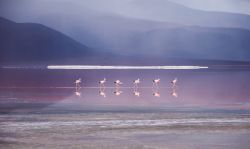 DSC_1403-Edit-1-15__880