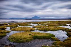 DSC_1576-Edit-1-18__880