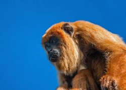 DSC_2154-Edit-2-23__880