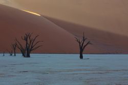 11366095315_63d45165fb_b