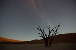 14421203069_f3f0618228_b