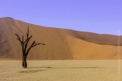 15079508587_f2b023a1b5_h