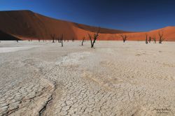 15232200430_7a6234d200_b