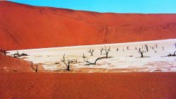 2900869325_8585d1be36_o