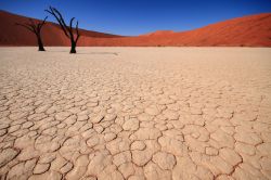 6322991872_fb83607b70_b