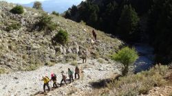 22554910_10214884551815868_2322841902966389395_n