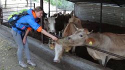 22555027_10214884561456109_6664568819753571605_n