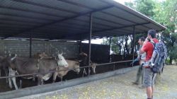 22555139_10214884573336406_3377876821611760974_n