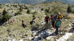 22728640_10214884548735791_3001488720995225408_n