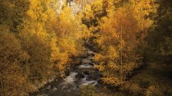 Visit-the-Alpes-in-France1__880