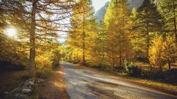 Visit-the-Alpes-in-France4__880