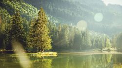 Visit-the-Alpes-in-France5__880