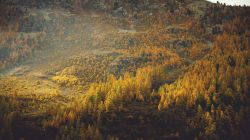 Visit-the-Alpes-in-France__880