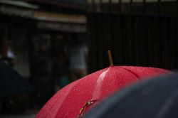 Japan-In-25-Photos-and-1-Video10__880