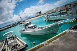 Japan-In-25-Photos-and-1-Video13__880