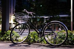 Japan-In-25-Photos-and-1-Video5__880