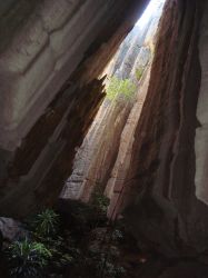 TsingydeBemarahaNationalPark3