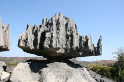 TsingydeBemarahaNationalPark4