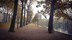 AdobePhotoshopExpress_c7f9d5059ee04eefa4cf1598bc72ad95__880