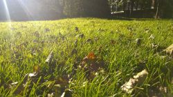 The-Netherlands-from-another-perspective7__880