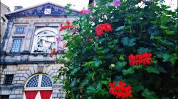 WP_20141030_15_58_01_Pro-2__880