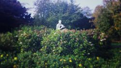 WP_20141031_14_53_16_Pro-3__880