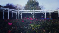 WP_20141031_15_08_38_Pro-2__880