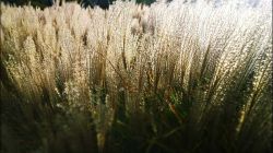 WP_20141031_15_49_21_Pro-2__880