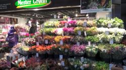 WP_20161019_13_25_55_Pro