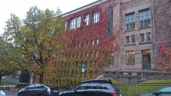 WP_20161019_14_30_36_Pro