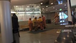 WP_20161020_10_36_46_Pro