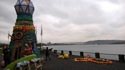 WP_20161020_13_44_46_Pro