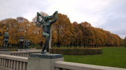 WP_20161021_11_19_39_Pro