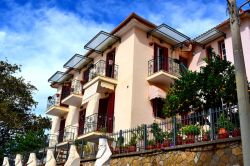 DSC_0006-001_800x533