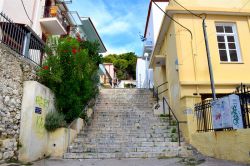 DSC_0007-001_800x533