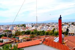 DSC_0011-001_800x533