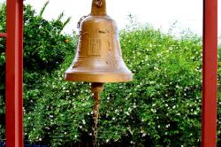 DSC_0017-001_800x533