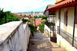 DSC_0020-001_800x533