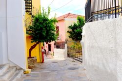 DSC_0021-001_800x533