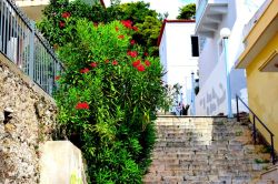 DSC_0022-001_800x533