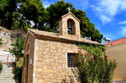 DSC_0023-001_800x533