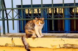 DSC_0025-001_800x533