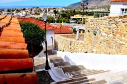 DSC_0039-001_800x533