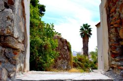 DSC_0040-001_800x533