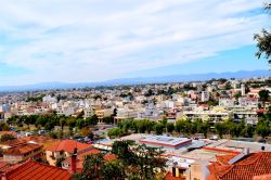 DSC_0045-001_800x533