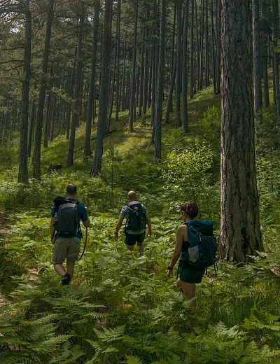 Βάλια Κάλντα